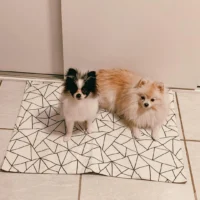 Tapete Mahuna Outlet - Tamanho P (Branco ou Estampa Sortida)