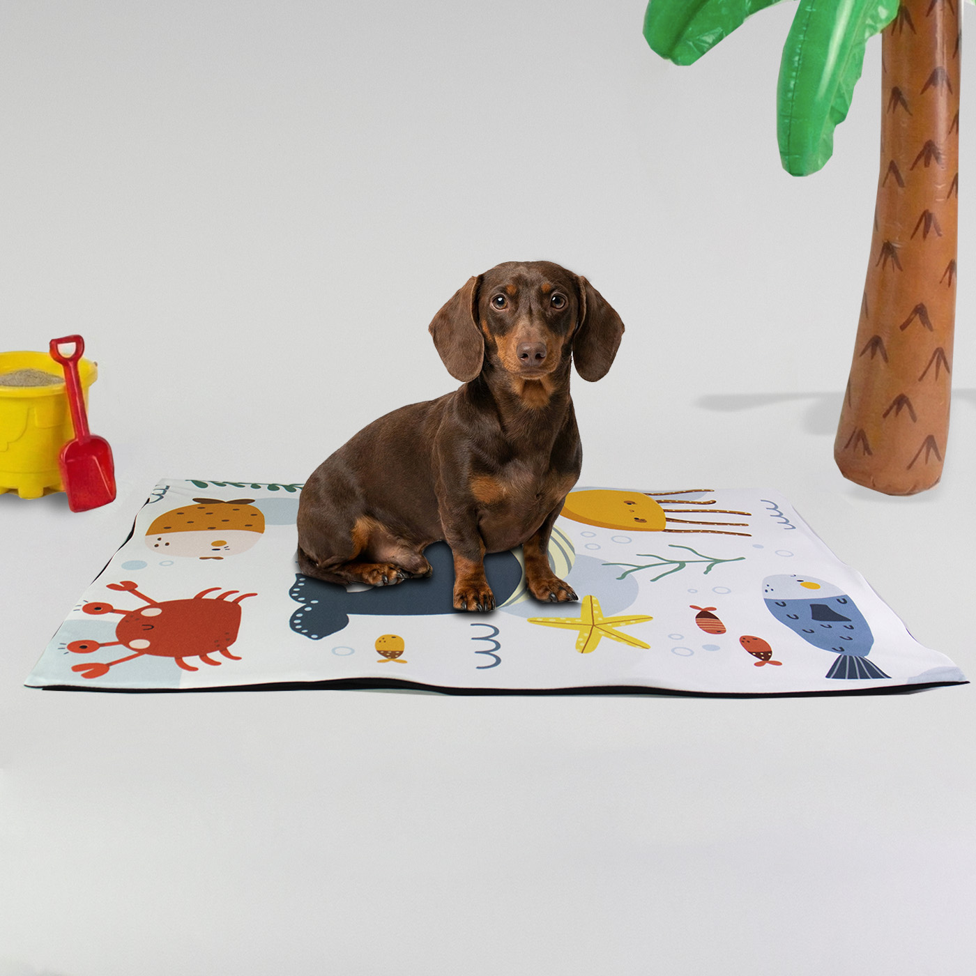 Tapete Gelado - Amar